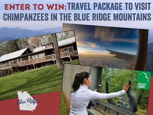 Win a Trip to Visit Chimpanzees in the Blue Ridge Mountains