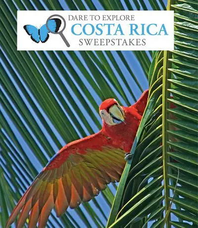 Pottery Barn Kids Dare to Explore Costa Rica Sweepstakes