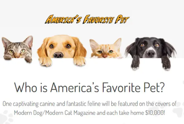America’s Favorite Pet Photo Contest: Win $10,000 Cash & Pets Photograph on Magazines