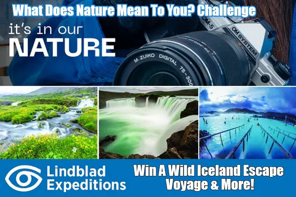 Win OM System Camera & Iceland Trip Giveaway