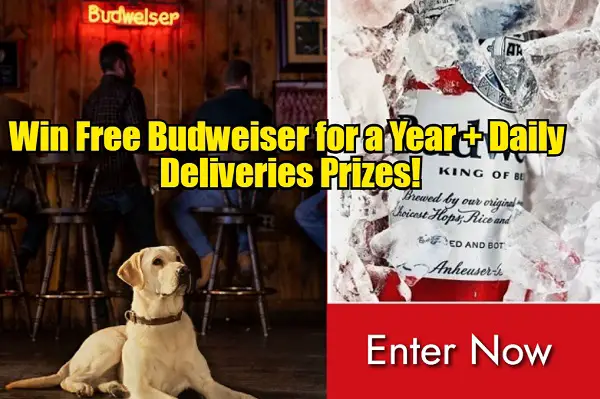 Budweiser Daily Deliveries Social Media Contest: Win $500 for Free Beer & Merchandise
