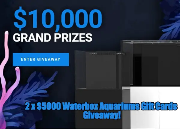 Blue Friday $5,000 Waterbox Gift Card Giveaway (2 Winners)