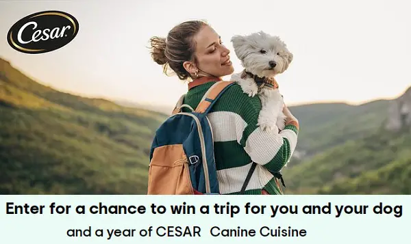 Traveler’ Choice Pet-Friendly Vacation Giveaway 2024