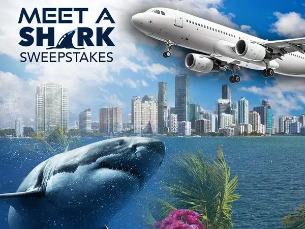 OCEARCH Meet a Shark Sweepstakes – Win a Shark Research Expedition Adventure in Florida!