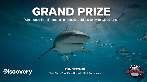 DISH July 2026 Play Scapes Sweepstakes – Win a Shark Week Adventure Trip to Florida!