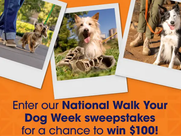 Nature’s Recipe National Walk Your Dog Week Sweepstakes: Win $100 Venmo Cash! (100 Winners)