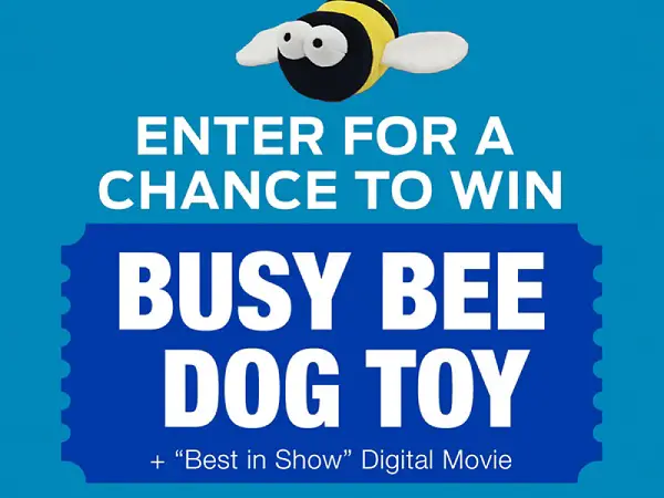National Dog Show Busy Bee Giveaway – 2,500 Winners!
