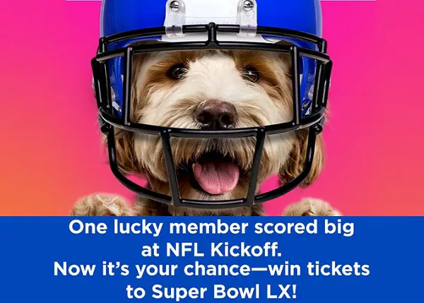 Pet Insurance Super Bowl LX Ticket Giveaway 2025