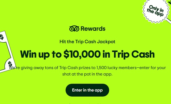 Tripadvisor Trip Cash Giveaway: Win Trip Cash Worth Up to $10000! (1500 Winners)