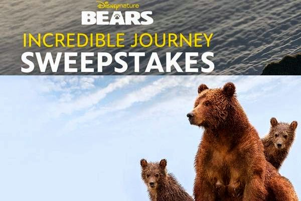 Disney.com Bear Incredible Journey Sweepstakes