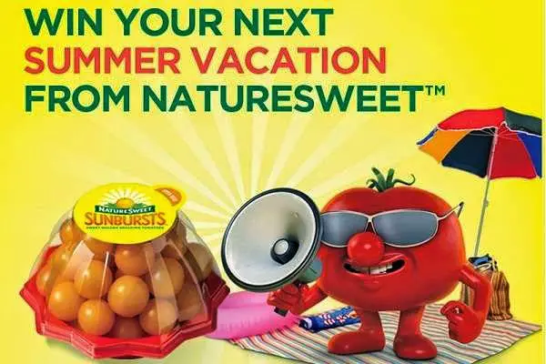 Fun In The SunBursts Text to Win Sweeps