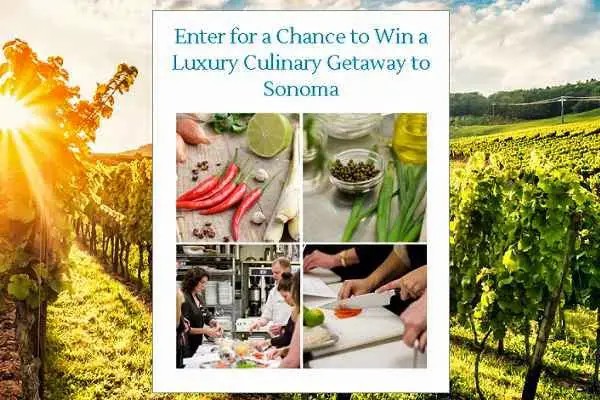 Win a Luxury Culinary Getaway in Hamptons Lane Sweepstakes