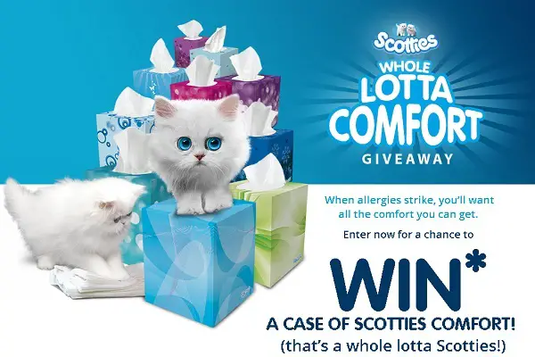 Scotties Whole Lotta Comfort Giveaway Sweepstakes