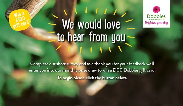 Tell Dobbies Your Feedback in Survey and Win £100 Gift Card
