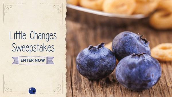 Blueberry Council Little Changes 2015 Sweepstakes