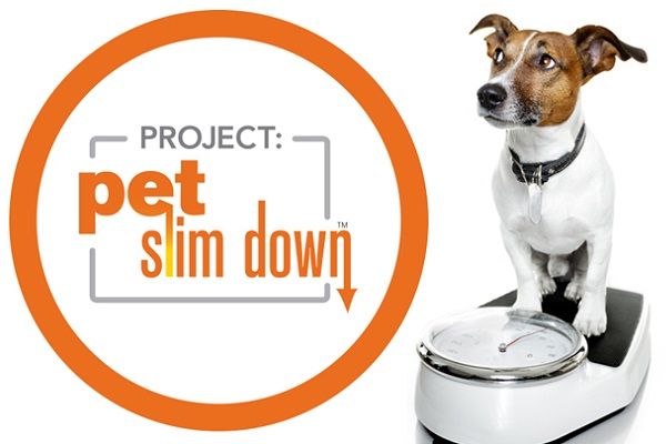 Project Pet Slim Down Sweepstakes