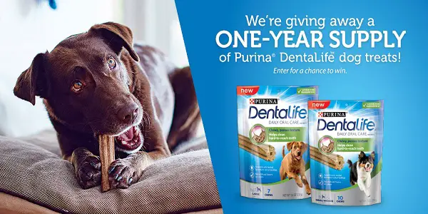 Quikly Purina DentaLife Giveaway