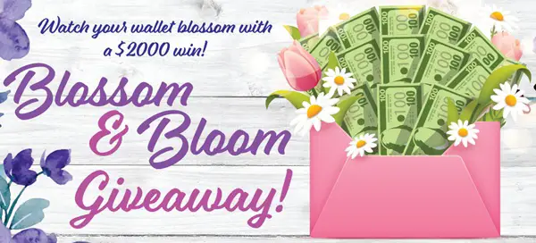 Win The Blossom & Bloom Giveaway