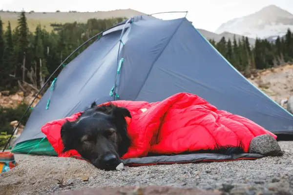 Win The Ruffwear x Big Agnes Giveaway