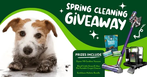 Win Spring Cleaning Giveaway