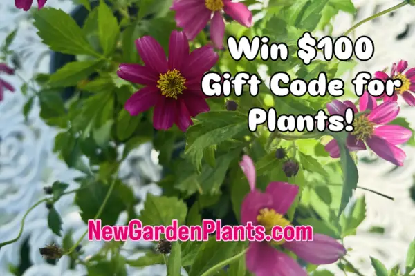 Win Raise Your Garden: New Garden Plants Giveaway