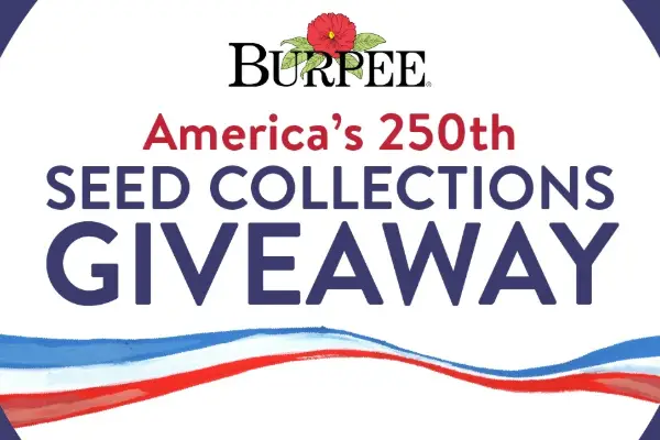 Win America’s 250th Collection Giveaway