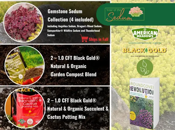 Win June Black Gold® Giveaway