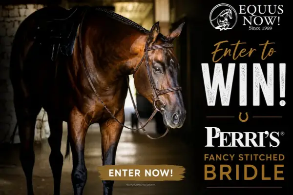 Win Perri's Fancy Stitched Bridle Giveaway