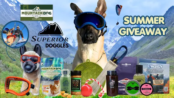 Win Mountain Dog Treats: Summer Giveaway