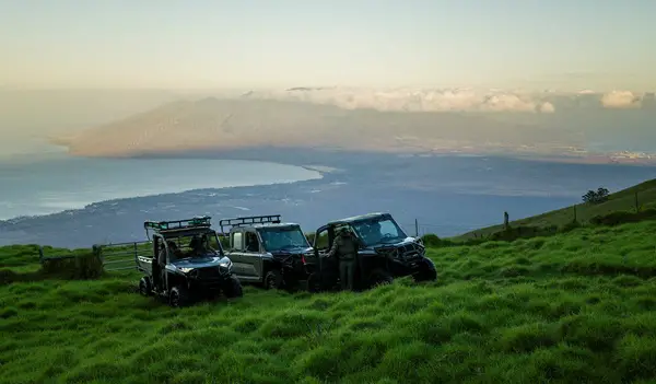 Win Maui Nui Venison Maka Luhi Invitation Giveaway