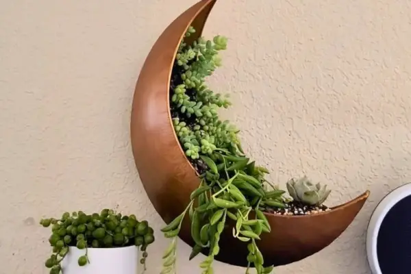 Win The Oakadoaks: Moon Planter Giveaway