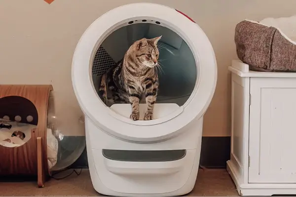 Win A Litter-Robot 4 Best Friends® Bundle!