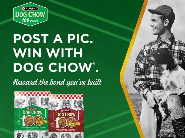 Family Dollar Dog Giveaway 2026 – Win a Dog Chow Prize Pack! (100 Winners)