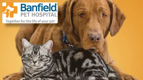 Tell Banfield Pet Hospital Feedback in Client Experience Survey
