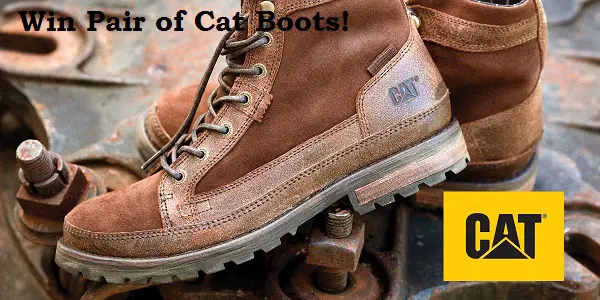 Win a Free Pair of Cat Boots Survey