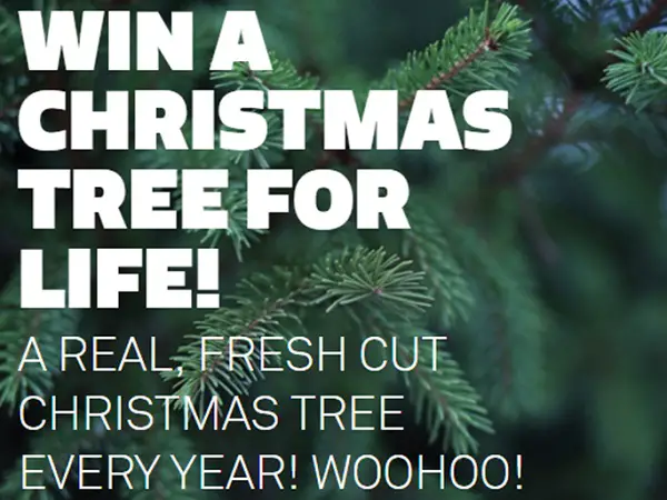 Win a Christmas Tree for Life $5,000 Giveaway