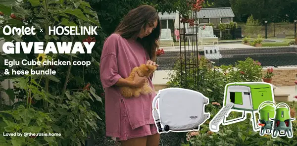 Win The Omlet x Hoselink Giveaway