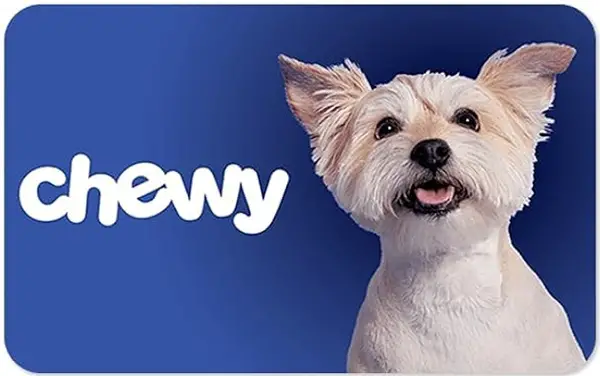 Win Splash, Fetch Sweepstakes