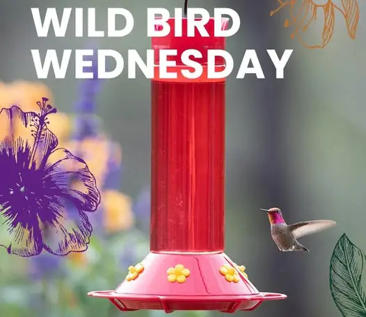 Win Perky-Pet: Wild Bird Wednesday Giveaway