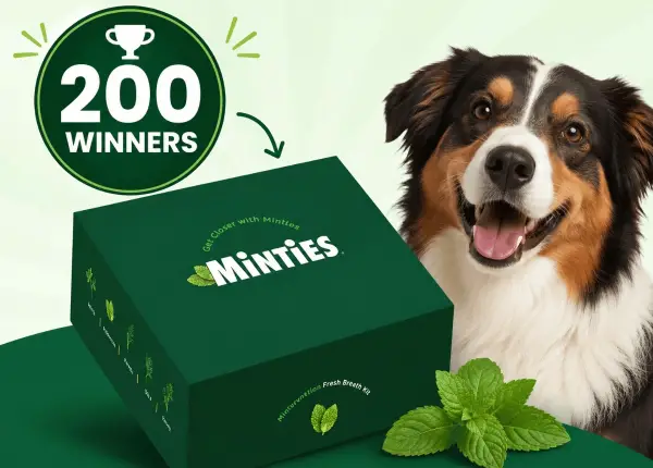 Win The Minties Intervention Sweepstakes