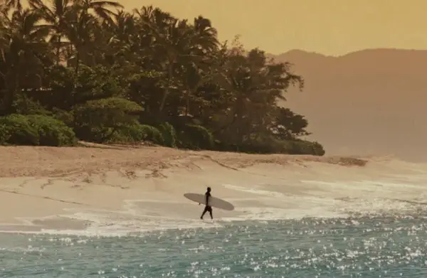 Win A Hawaii Trip for 2 with the SWISSGEAR Sweepstakes