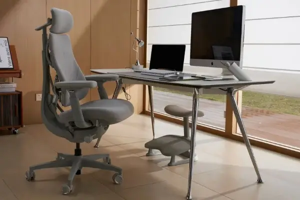 Win LiberNovo Omni Ergonomic Chair Giveaway
