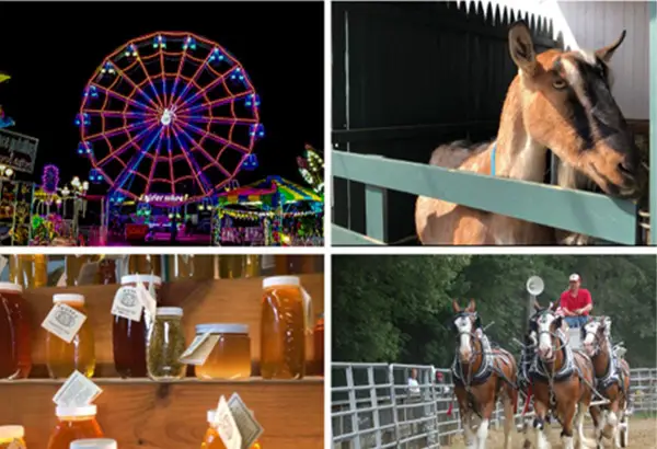 Win Family Admission Package to the 158th Marshfield Fair Sweepstakes