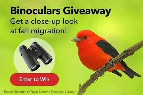 Win ZEISS Terra ED Binoculars Giveaway