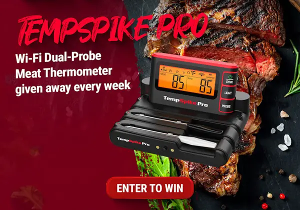 Win TempPro TempSpike Pro Wi-Fi Dual-Probe Meat Thermometer Giveaway