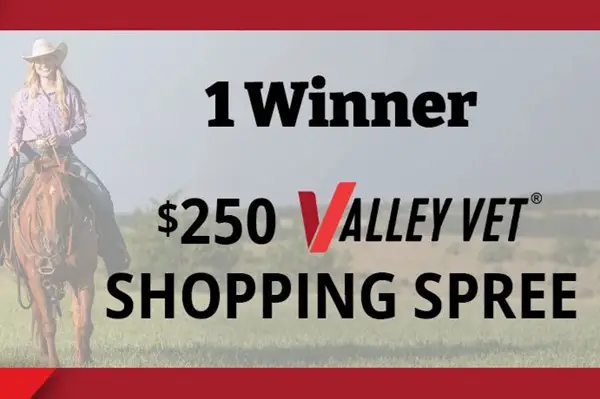 Win Sizzlin' Summer Giveaway