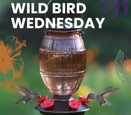 Win Perky-Pet Wild Bird Wednesday Giveaway