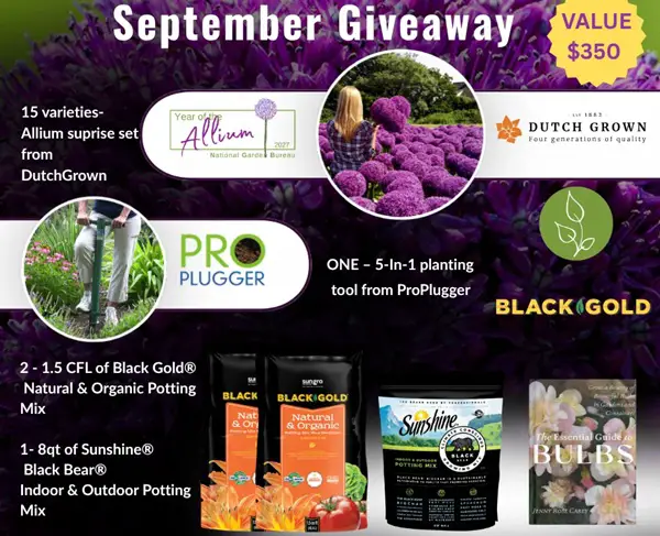 Win September 2026 Black Gold Giveaway