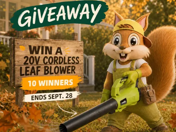 Win A 20V Cordless Leaf Blower Snap Into Fall Giveaway