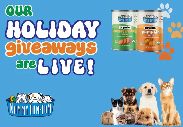 Win Nummy Tum-Tum Holiday Giveaway